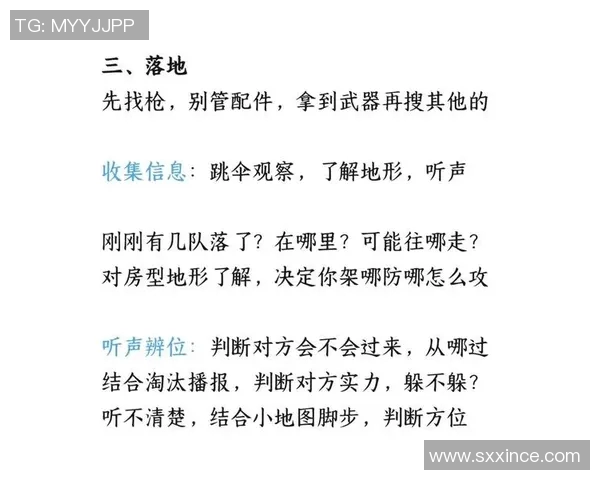 从零开始掌握和平精英团队协作技巧的全面指南与实战经验分享MBA