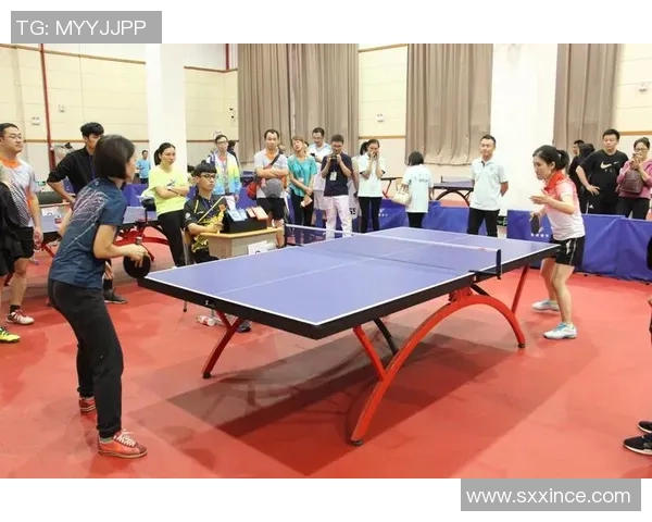 从零基础到高手之路乒乓球比赛全方位实战技巧与经验分享MBA